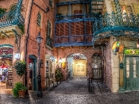Dom, Disneyland