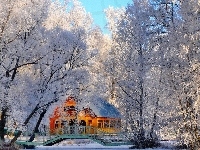 Dom, Zima, Drzewa, Mostek