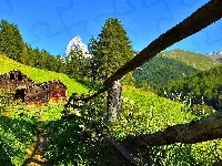 Góry, Dom, Las