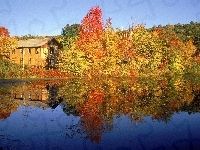 Dom, Kolorowe, Jesień, Jezioro, Drzewa