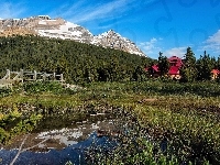 Dom, Kanada, Góry, Lasy, Mostek