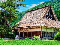 Ogród, Dom, Japonia