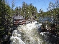 Brzegi, Park Narodowy Oulanka, Finlandia, Rzeka, Domek, Zalesione