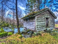 Las, Domek, Rzeka
