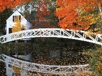 Domek, Rzeka, Most, Jesień