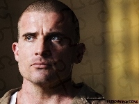 Dominic Purcell, niebieskie oczy