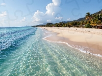Tropiki, Plaża, Morze, Domki, Grafika, Palmy