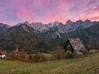 Domy, Góry, Drzewa, Słowenia, Las, Alpy Julijskie, Kranjska Gora