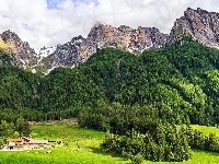 Domy, Lato, Góry, Lasy, Łąki