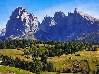 Domy, Drzewa, Seiser Alm, Góry, Sassolungo, Płaskowyż, Włochy, Dolomity