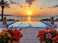 Donice, Leżaki, Kwiaty, Zachód słońca, Basen, Kolorowe, Morze, Palma