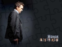 Dr. House, Hugh Lauriego