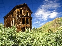Dom, Drewniany, Krzewy