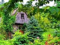 Dom, Drewniany, Ogród