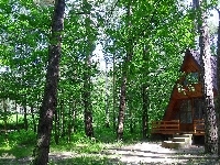 Drewniany, Drzewa, Park, Ośrodek, Domek