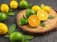 Liście, Limonki, Cytryny, Drewno
