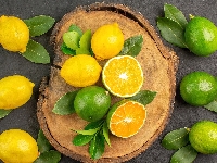Liście, Cytryny, Limonki, Drewno