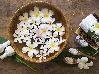 Ręcznik, Miska, Plumeria, Drewno, Kwiaty, Woda, Olejki