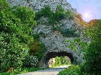 Droga, Skała, Drzewa, Tunel