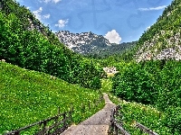 Droga, Góry, Las, Dom