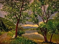 Droga, Góry, Lasy, Jezioro
