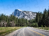Droga, Góry, Lasy, Park Narodowy Yosemite