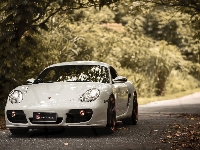 Porsche Cayman S, Droga