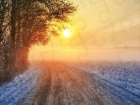 Droga, Drzewa, Zima, Zachód Słońca, Zakręt
