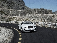 Droga, Bentley Continental Supersports, Zakręt