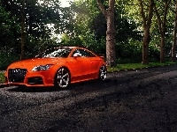 Droga, Pomarańczowe, Audi TT, Las