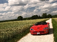 Droga, Czerwony, Dodge Viper, Pole