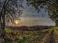 Droga, Drzewa, Wieś, Pola, Zachód Słońca