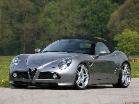 Drzewa, Droga, Alfa Romeo 8c Spider