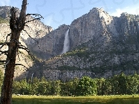 Łąka, Drzewa, Góry