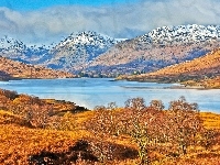 Drzewa, Góry, Jesień, Jezioro, Łąki, Szkocja