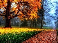 Drzewa, Jesień, Park, Alejka, Liście
