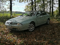 Alfa Romeo 166, Drzewa