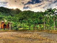 Drzewa, Park, Altanki, Plac