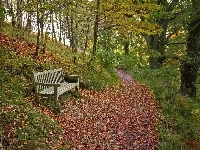 Ławka, Park, Góra, Ścieżka, Jesień