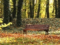 Drzewa, Liście, Park, Ławka, Jesień