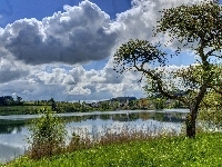 Drzewa, Rzeka, Chmury, Trawa