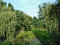 Drzewa, Most, Park, Dolnyśląsk, Kamienie