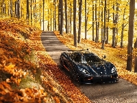 Koenigsegg, Las, Jesień, Drzewa, Agera, Droga