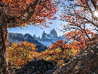 Jesień, Promienie słońca, Drzewa, Patagonia, Park Narodowy Los Glaciares, Fitz Roy, Argentyna, Góry