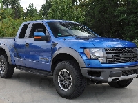 Drzewa, Raptor, Ford