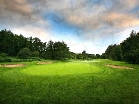 Drzewa, Pole, Golfowe, Niebo
