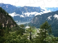 Drzewa, Austria, Jezioro, Góry, Dachstein