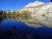 Drzewa, Kalifornia, Jezioro, Góry, Yosemite