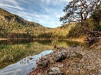 Drzewa, Jezioro, Góry, Kamienie
