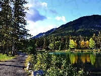 Drzewa, Kanada, Jezioro, Góry, Banff